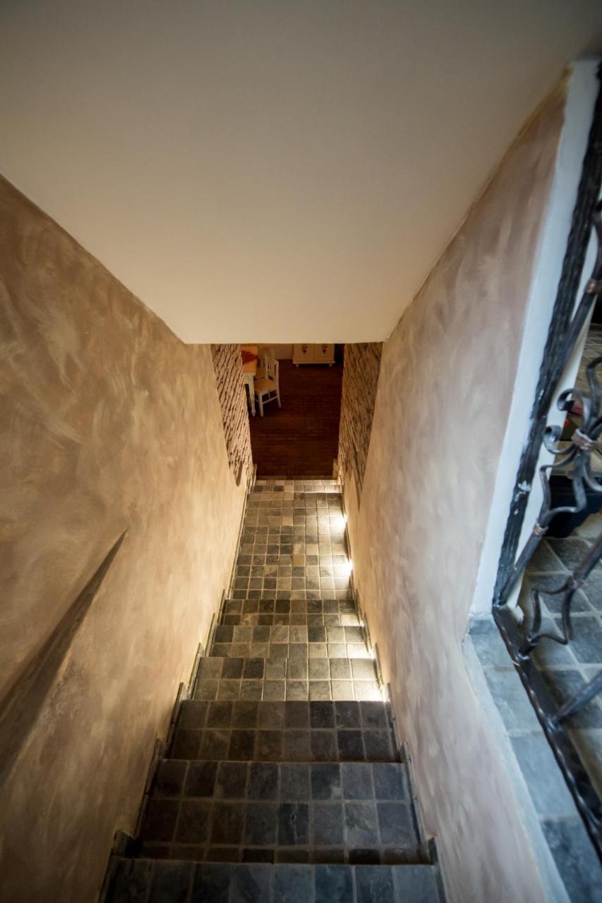 Vila Nicopole Art & Wine Brasov Exterior photo