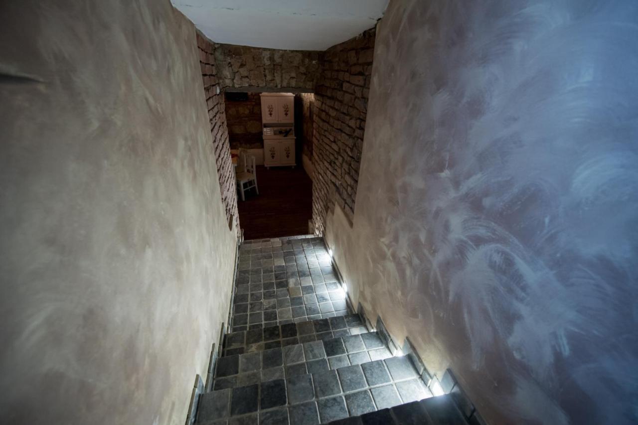 Vila Nicopole Art & Wine Brasov Exterior photo